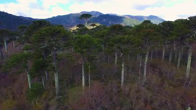  인천 의료사회복지사 자격 사회복지사2급 고졸자도 학점은행제로 빠르게