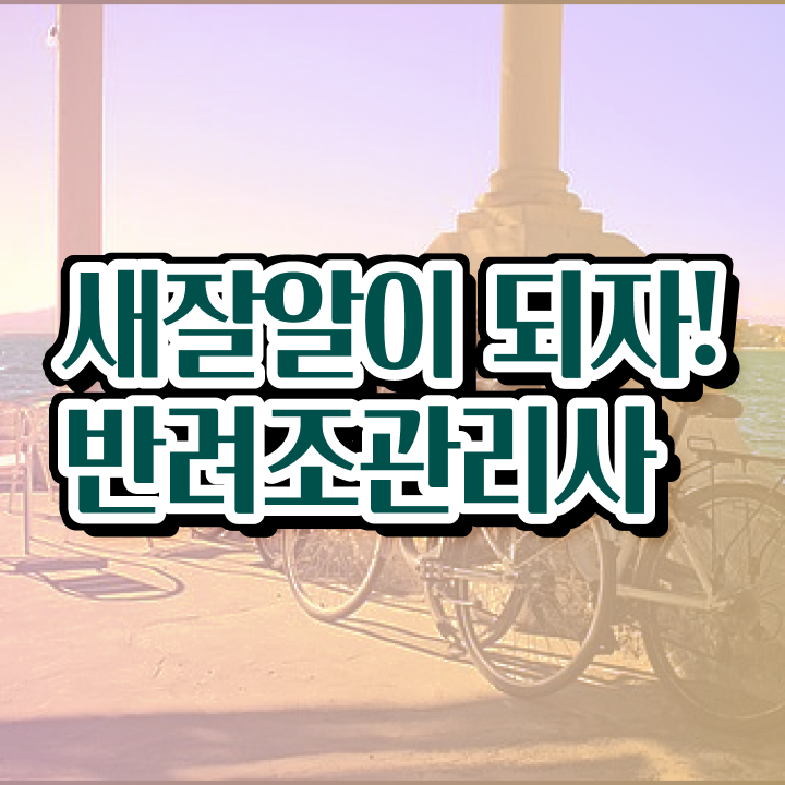  뉴기니아 앵무새 분양 , 반려조관리사 자격증 온라인으로 쉽게 준비한 방법 및 활용 방법