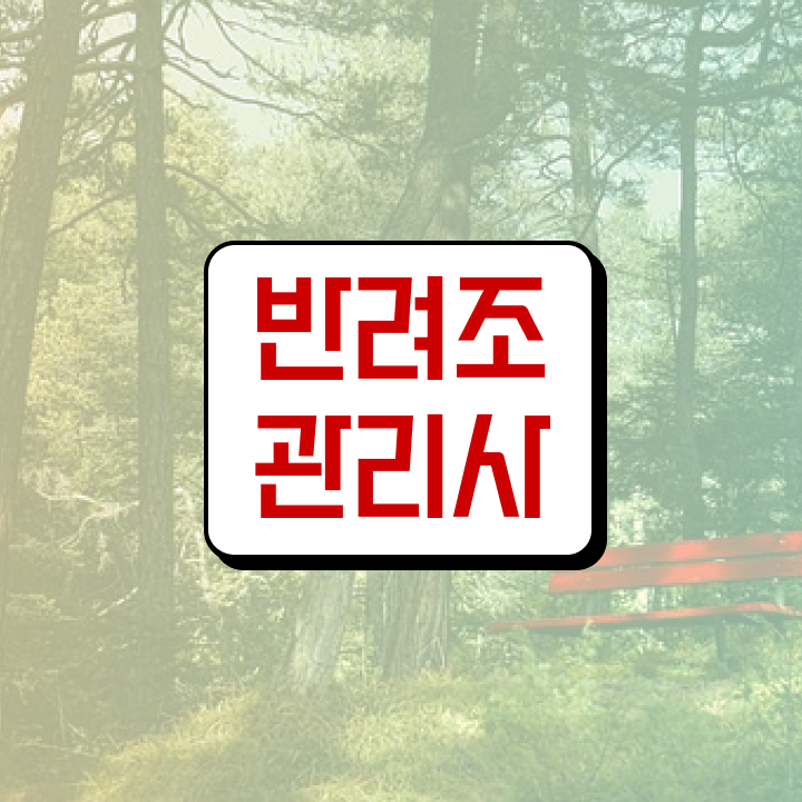  대형 앵무새 분양 , 반려조관리사 자격증 쉽고 빠르게 준비한 과정 살펴보기