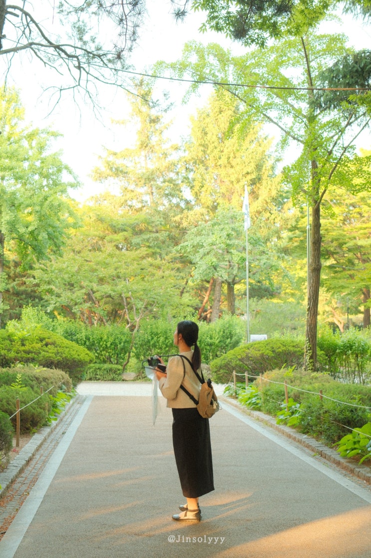  [X100VI] 도산공원 - 2024.05.29