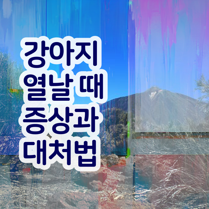  반려견 무료 과정 , 반려동물관리사 자격증 합격한 후기 정보 가득