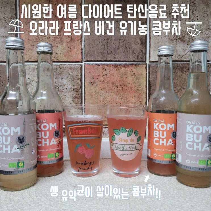  유익균이 살아있는 오라라 콤부차 다이어트 음료 가격 칼로리 효능