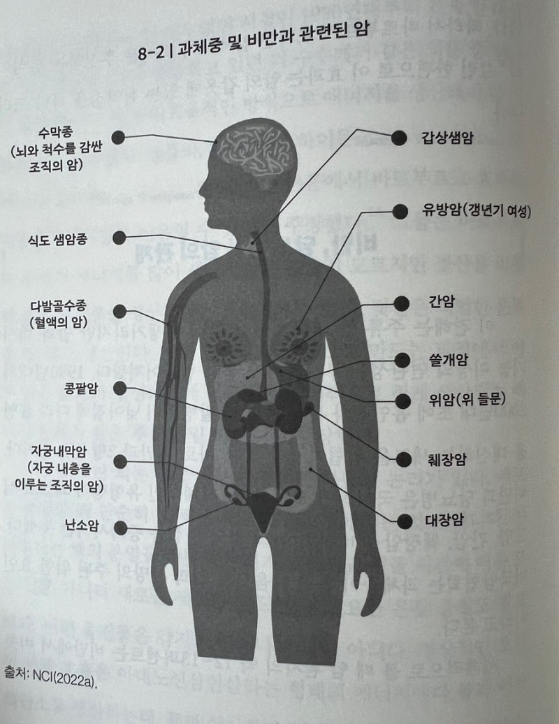 이번주 책들 🙈 : 네이버 블로그, image size:800x1036