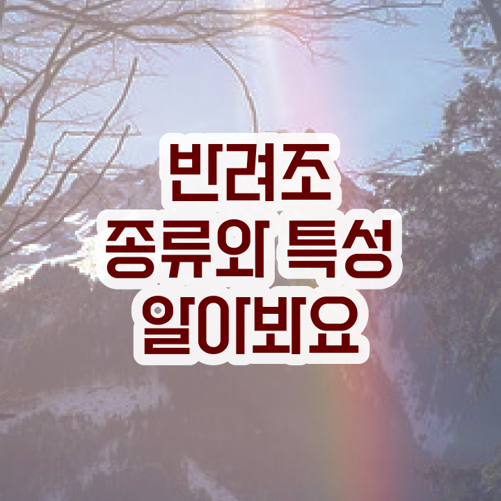  반려조 , 반려조관리사 자격증 합격한 후기 최신정보 공유