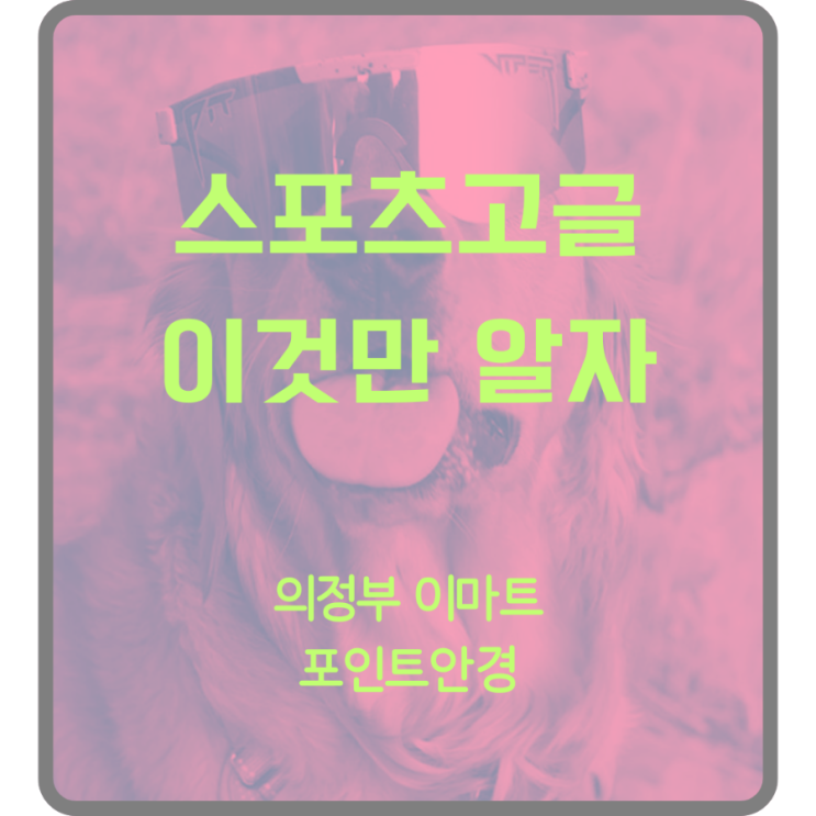 의정부 선글라스 추천! 운동할때 입문용 고글을 단하나 사야한다면?