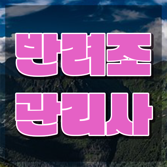  모란앵무입질 이사 , 반려조관리사 자격증 합격한 팁 알아볼까요