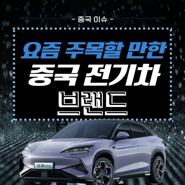  [중국 이슈] 요즘 주목할 만한 중국 전기차 브랜드!!