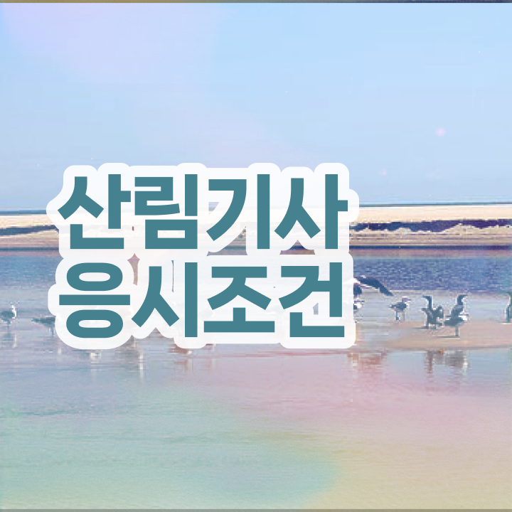  산림기사 시험접수 산림기사 시험응시조건 집에서 온라인으로 4달만에 끝낸 팁