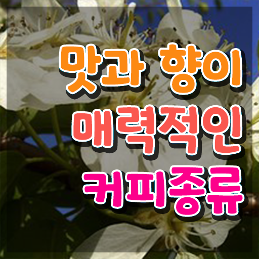  전주바리스타 , 바리스타 자격증 취득한 노하우 추천합니다
