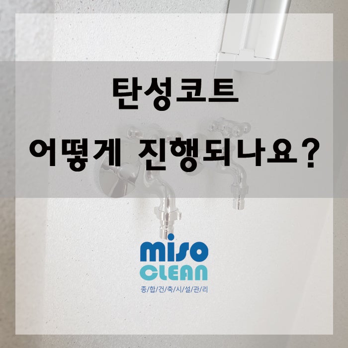  벽 곰팡이 간단하게 해결하기! 미소클린 탄성코트