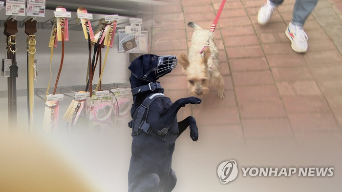 “끊임없는 개 물림·키즈카페 사고”…‘이 보험’ 없었으면 어쩔 뻔 “끊임없는 개 물림·키즈카페 사고”…‘이 보험’ 없었으면 어쩔 뻔