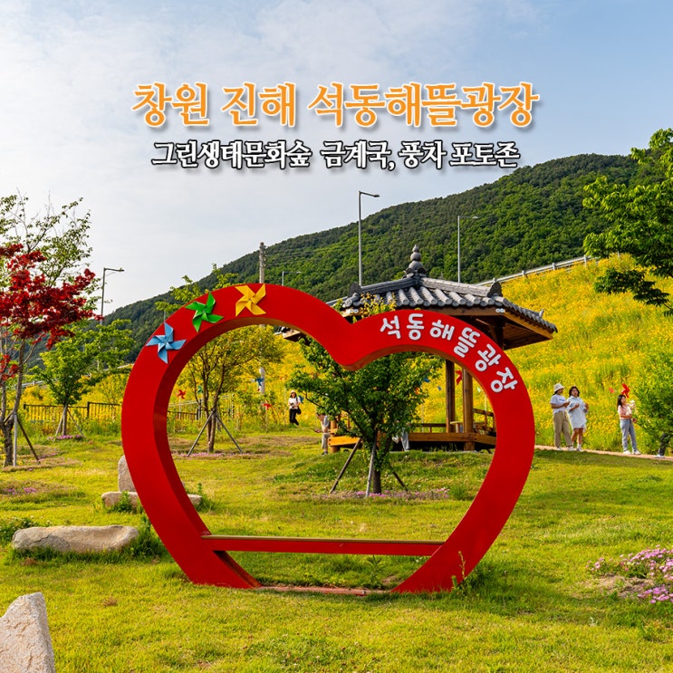  창원 진해 석동해뜰광장 금계국 꽃동산 풍차 포토존