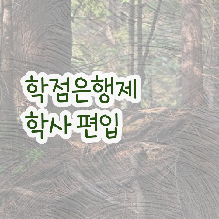  학점은행제 학위증 이미지 , 목표를 완벽하게 관리해주는 학점은행제 플래너 추천 드립니다.