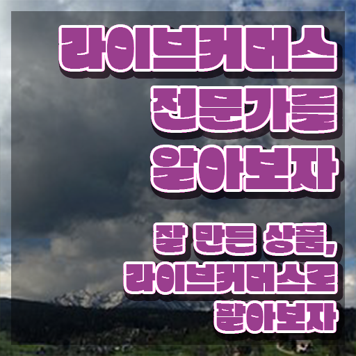  라이브커머스전문가 자격요건 , 라이브커머스전문가 자격증 한달 만에 준비한 방법 정리해봤어요