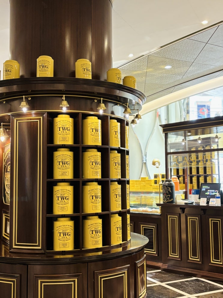  [잠실] 에비뉴엘 애프터눈 티 카페 :: TWG tea