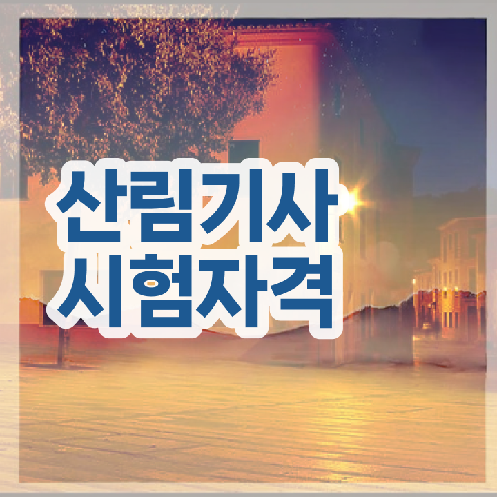  산림기사 교육 산림기사 자격요건 집에서 온라인으로 쉽고 빠르게 준비한 팁