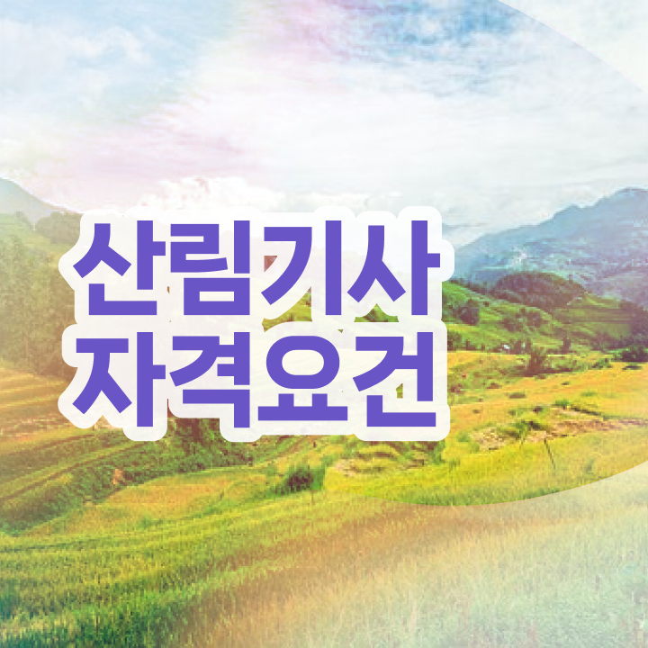  산림기사 실기 합격률 산림기사 응시자격 온라인으로 15주 동안 완료한 노하우