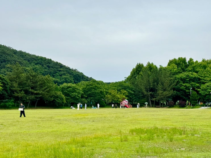  광주 피크닉 장소 잔디밭이 넓은 송산근린공원