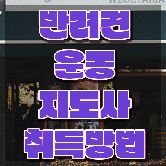  국비지원 자격증 추천 , 반려견운동지도사 집에서 온라인으로 단기간에 끝내는 노하우