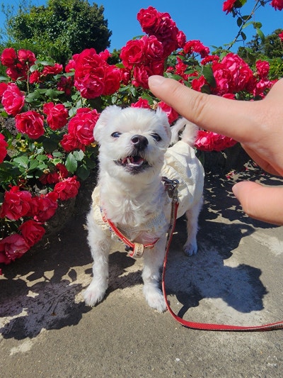 사진 6
