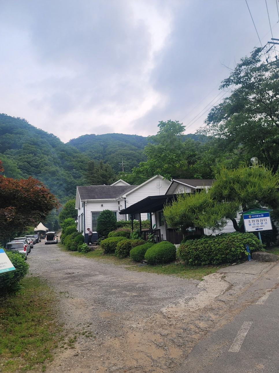 조무락 사진 1
