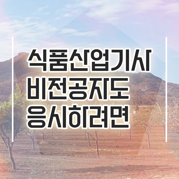  식품산업기사 응시자격 식품산업기사 응시조건 집에서 온라인으로 간단하게 준비한 방법