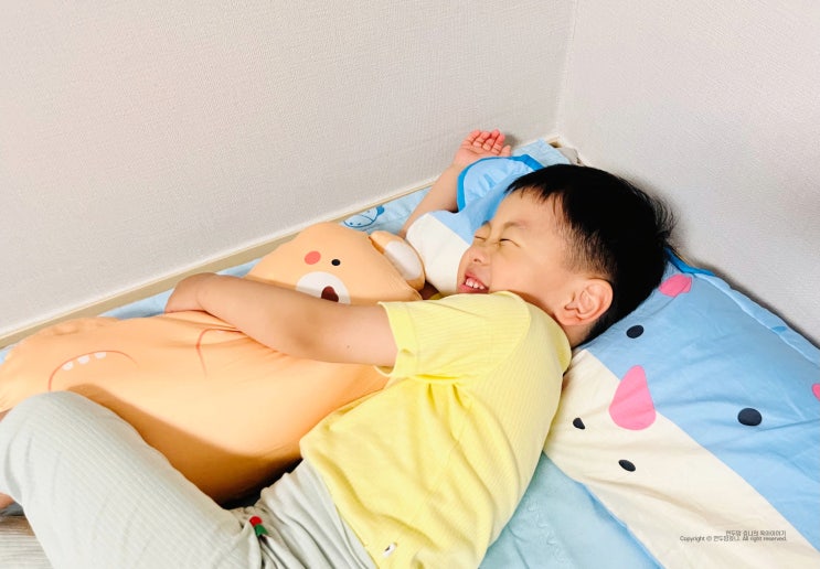 밀로앤개비 유아베개 동물 롱베개 남자 아기 애착인형 시원한 바디필로우 밀로앤개비 유아베개 동물 롱베개 남자 아기 애착인형 시원한 바디필로우