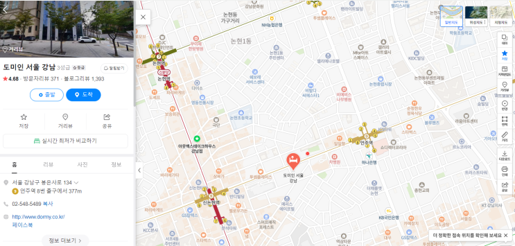  도미인 서울 강남 솔직 후기 (신논현역 , 언주역)