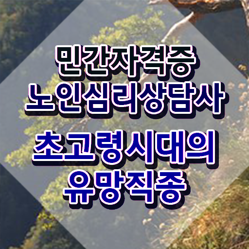  노인심리상담사자격증취득방법 , 노인심리상담사 자격증 1달 만에 준비한 방법 , 전망