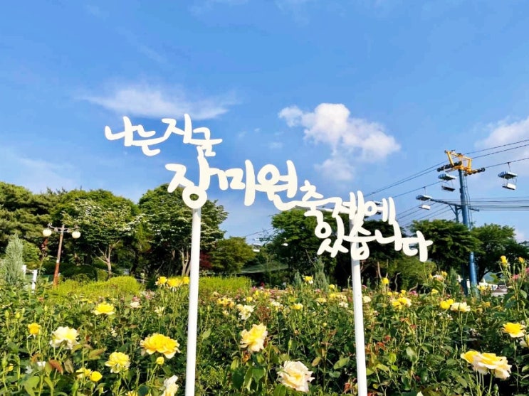  이번 주 주말 테마가든에서 진행되는 서울대공원 장미원축제! 즐길거리, 축제일정, 장미현황 이모저모