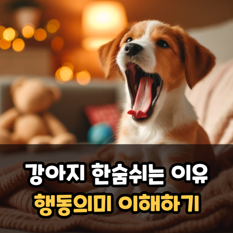  강아지 한숨쉬는 이유는 뭘까? 카밍시그널 행동의미 이해하기