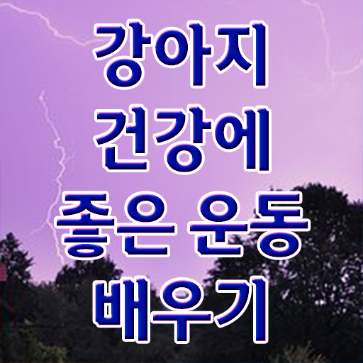  반려동물 종류 , 반려견운동지도사 합격 전략 및 온라인 독학