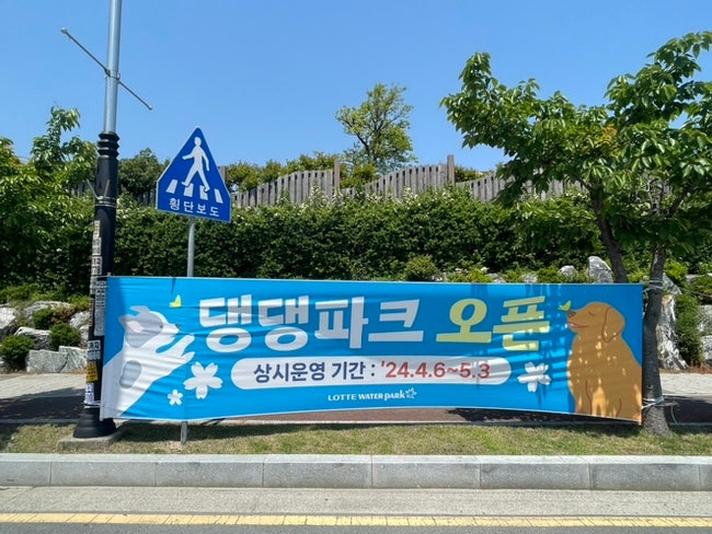 사진 3