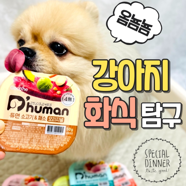  노령견 소화에 좋은 강아지화식사료 듀먼화식 후기