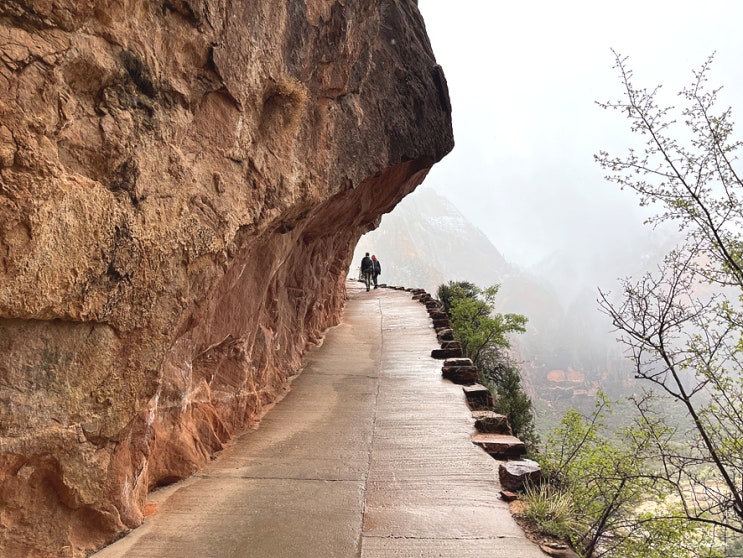  [미서부 여행] 자이언캐년(Zion Canyon) 국립공원 - 스카우트 룩아웃 트레킹, 엔젤스 랜딩