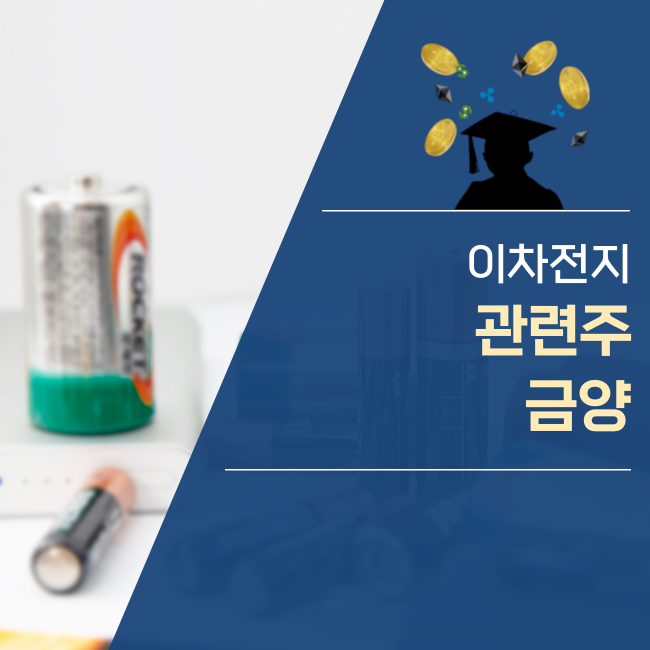  이차전지관련주 금양의 연혁, 사업은?
