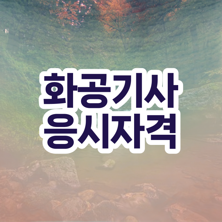  정나나 화공기사 화공기사 자격요건 집에서 온라인으로 1학기에 준비한 노하우