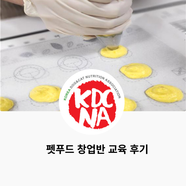  NO.1040 프리미엄 펫푸드 창업반 후기