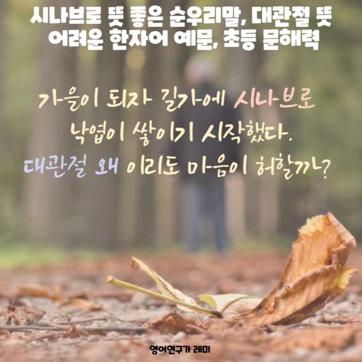 시나브로 뜻 좋은 순우리말, 대관절 뜻 어려운 한자어 예문, 초등 문해력 시나브로 뜻 좋은 순우리말, 대관절 뜻 어려운 한자어 예문, 초등 문해력