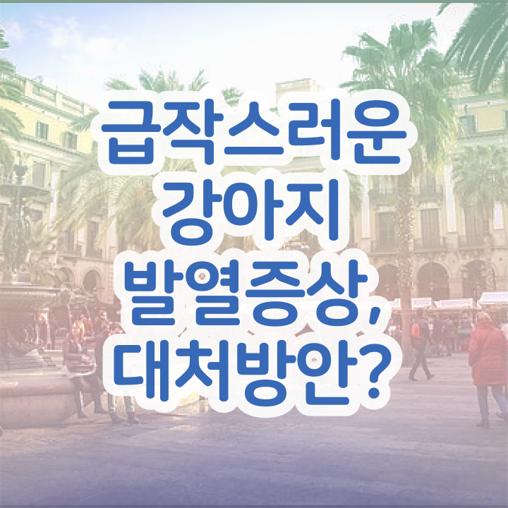  반려동물관리사2급 , 반려동물관리사 자격증 취득한 방법 알아보기