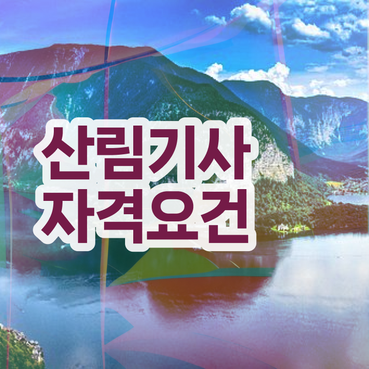  산림 기사인강 산림기사 응시조건 인강만 듣고 5개월 만에 완료한 팁