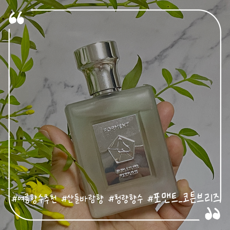  여름향수추천 올리브영향수 산들바람향 포맨트 코튼브리즈