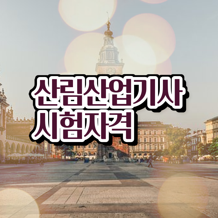  산림 산업기사교재 산림산업기사 시험응시자격 온라인 수업으로 반 년만에 완료한 팁