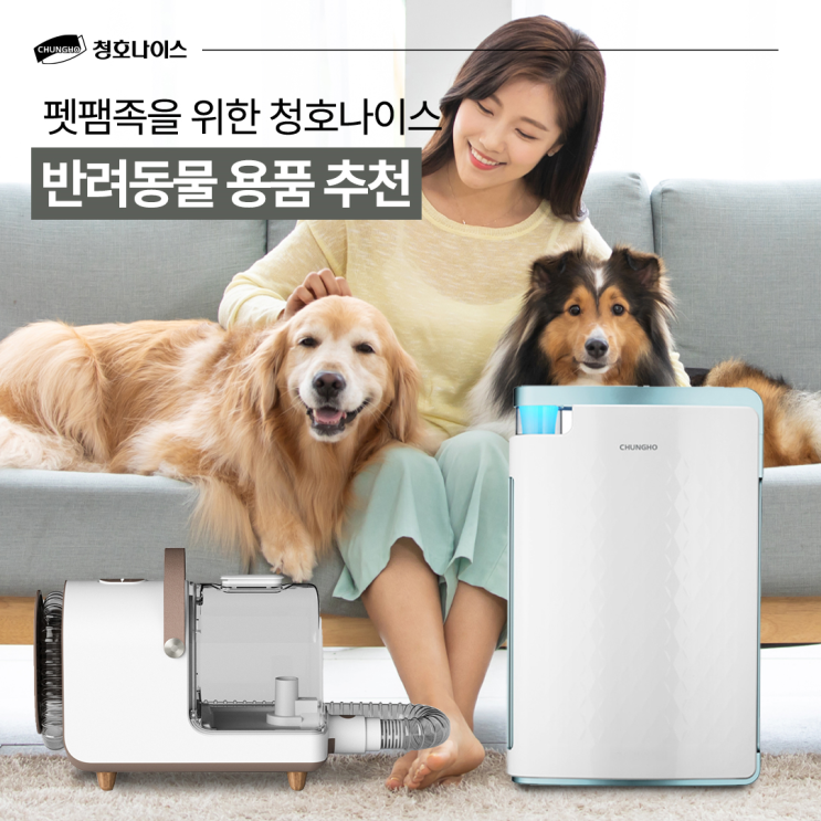  펫팸족을 위한 반려동물 용품 추천