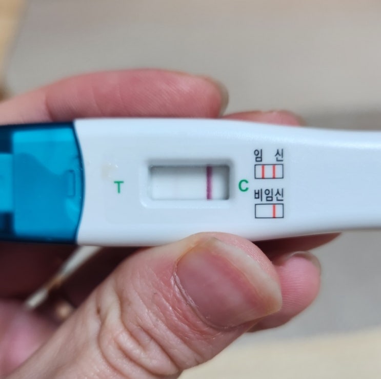  임신, 5주 아기집 작음, 고사난자, 임신초기유산