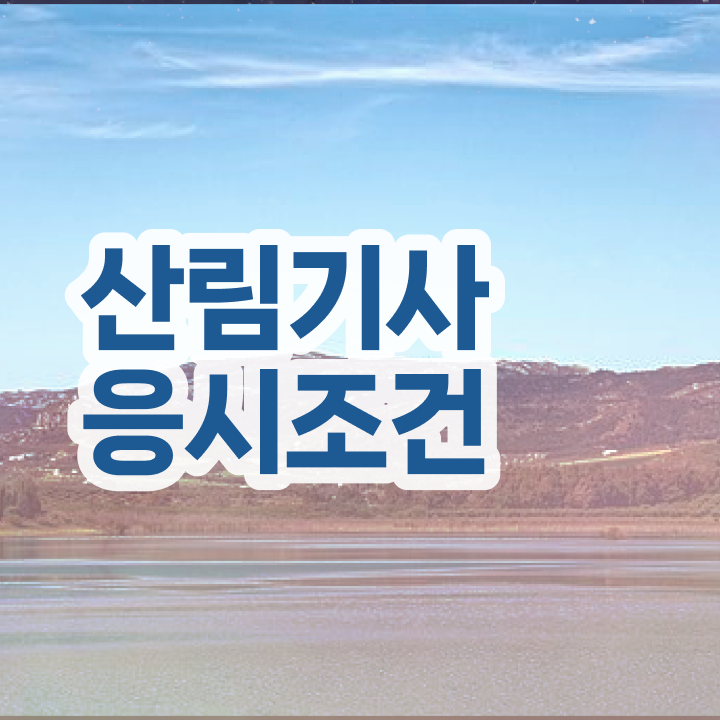  산림기사 자격증 산림기사 시험응시자격 온라인 수업으로 4달 안에 성공한 노하우