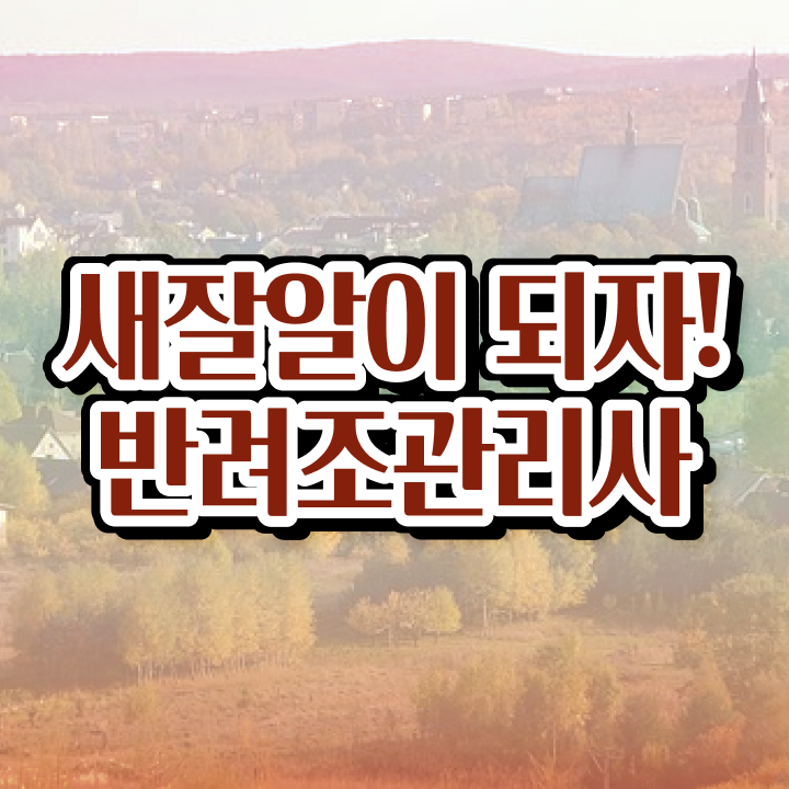  말하는 앵무새 카페 , 반려조관리사 자격증 응시자격 없이 시험준비 및 전망