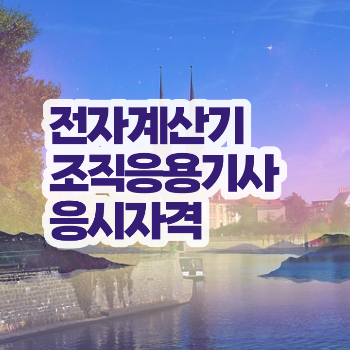  전자계산기조직응용기사 자격 요건 전자계산기조직응용기사 시험응시자격 인강으로 5달만에 준비한 후기