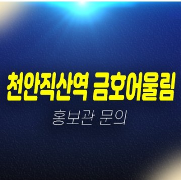 직산역 금호어울림 베스티엘 성거읍 신월리 10년전세아파트 모집공고 주택홍보관 상담문의 직산역 금호어울림 베스티엘 성거읍 신월리 10년전세아파트 모집공고 주택홍보관 상담문의