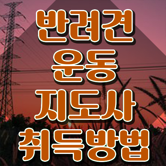  반려동물관리사 취업 반려견운동지도사자격증 인강으로 간편하게 합격 후기